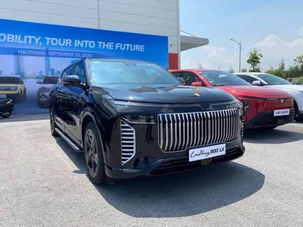 Vinfast Lac Hong 900 LX